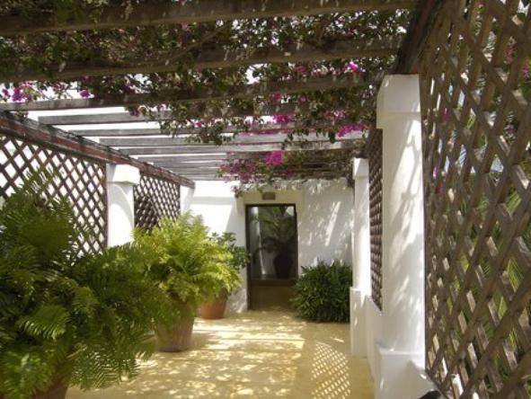 Shela House - Patio 